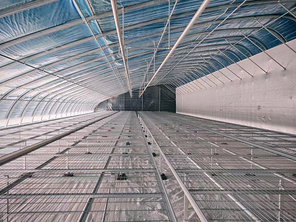 荷澤日光大棚建造