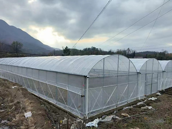 青島薄膜溫室大棚建造