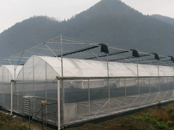 西安薄膜連棟溫室大棚