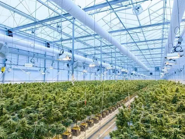 淄博連棟智能溫室