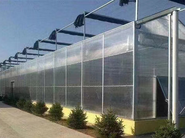聊城陽光板溫室建造